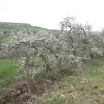 La Maison Des Fleurs Bed & Breakfast