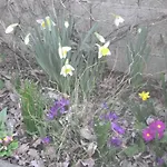 La Maison Des Fleurs Bed & Breakfast
