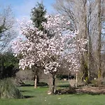 Bed & Breakfast La Maison Des Fleurs Montemboeuf