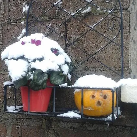 La Maison Des Fleurs