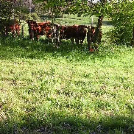 Bed & Breakfast La Maison Des Fleurs Montemboeuf