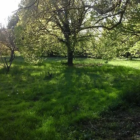 La Maison Des Fleurs Bed & Breakfast 3*