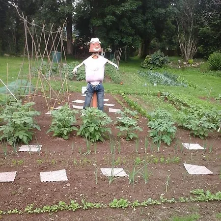 Bed & Breakfast La Maison Des Fleurs