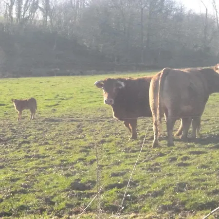 La Maison Des Fleurs Montembœuf