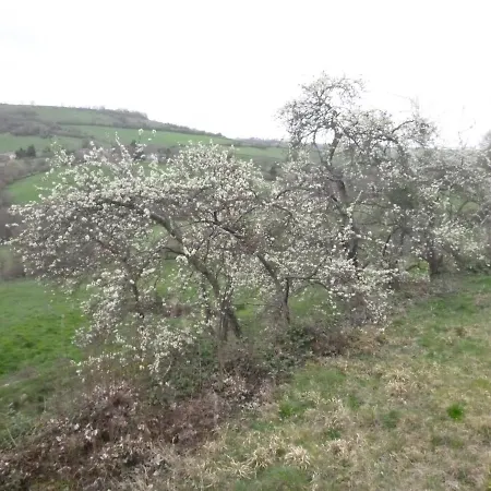 La Maison Des Fleurs Alojamento de Acomodação e Pequeno-almoço