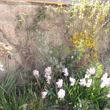 La Maison Des Fleurs Couette-café *