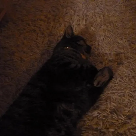 Bed & Breakfast La Maison Des Fleurs 3*