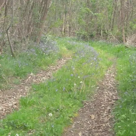 Bed & Breakfast La Maison Des Fleurs 3*