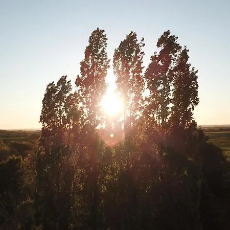 La Maison Des Fleurs Montembœuf
