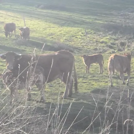 La Maison Des Fleurs Montemboeuf