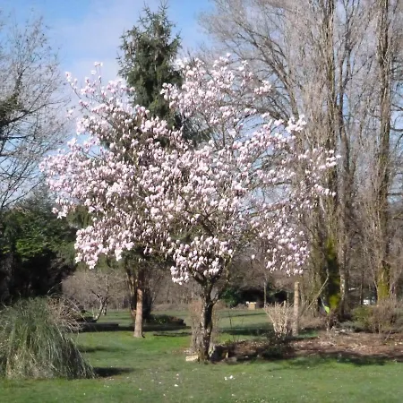 Bed & Breakfast La Maison Des Fleurs Montemboeuf