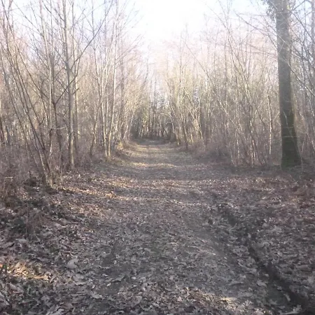 La Maison Des Fleurs