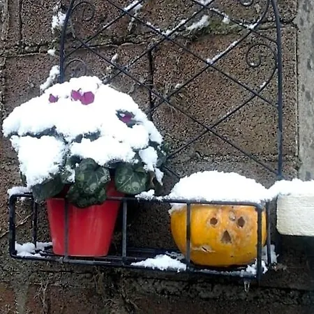 La Maison Des Fleurs 3*
