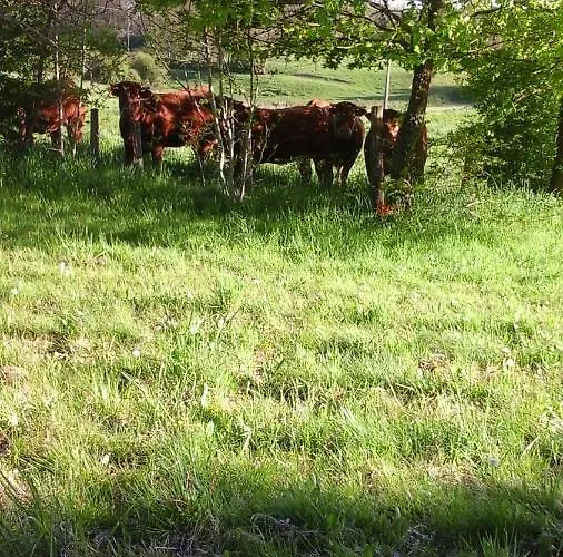 Bed & Breakfast La Maison Des Fleurs Montembœuf