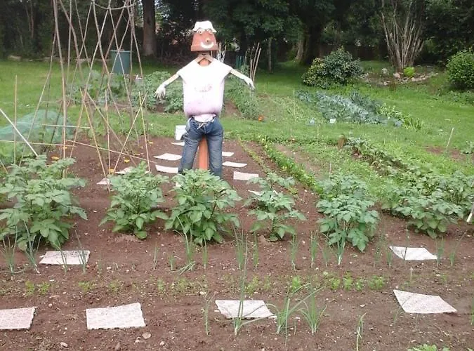 Bed & Breakfast La Maison Des Fleurs