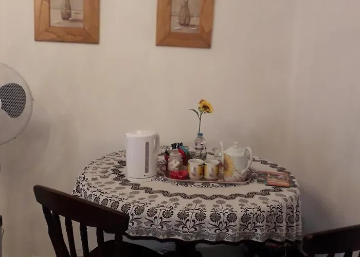 La Maison Des Fleurs 3*