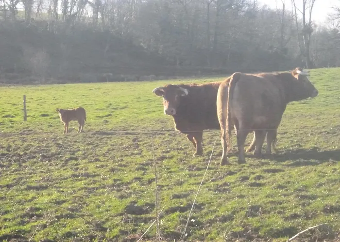 La Maison Des Fleurs Montembœuf