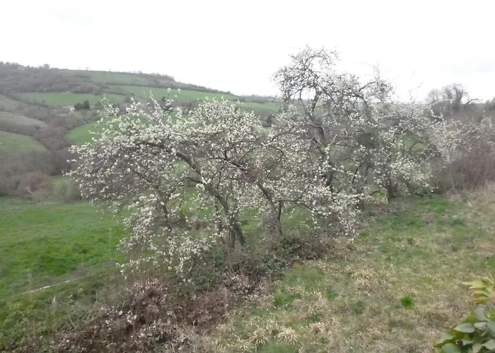 La Maison Des Fleurs Bed & Breakfast