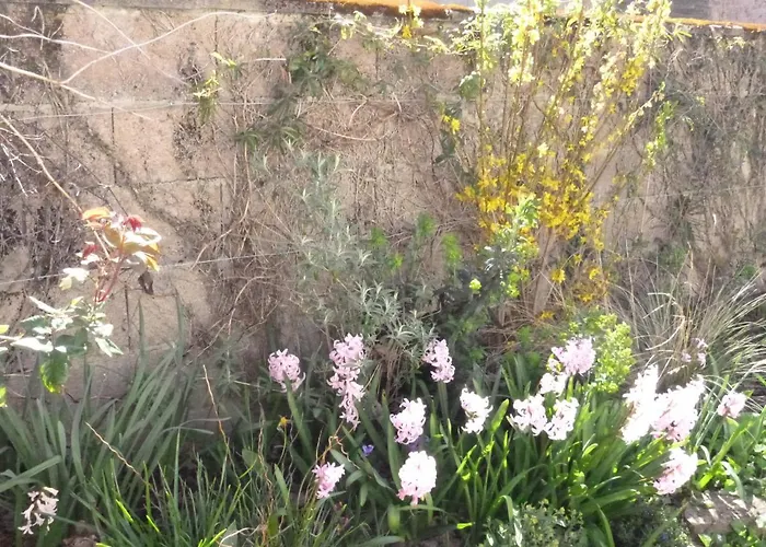 La Maison Des Fleurs Bed & Breakfast 3*