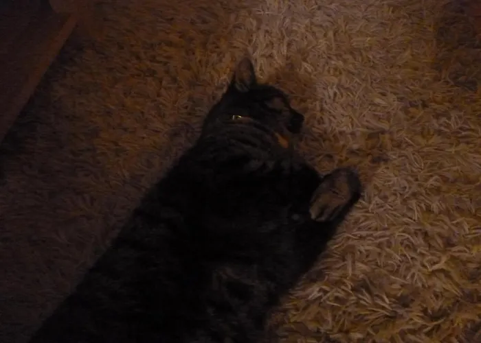 Bed & Breakfast La Maison Des Fleurs 3*