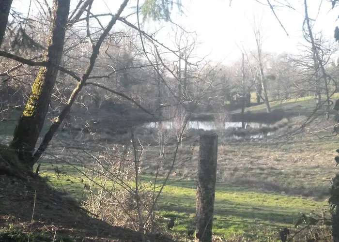 La Maison Des Fleurs 3* Montembœuf