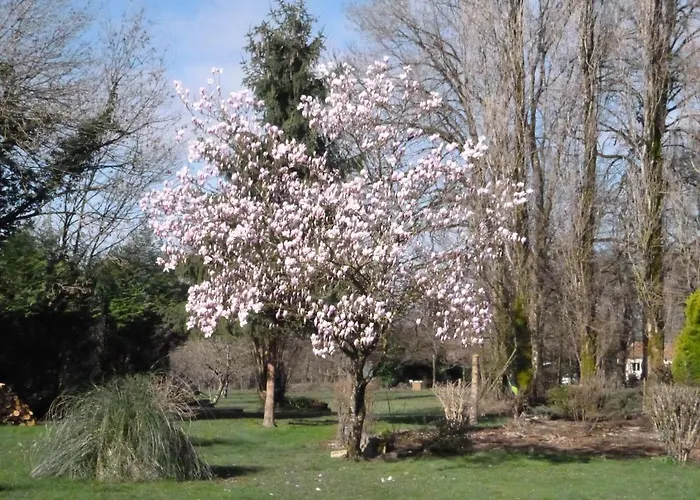 Bed & Breakfast La Maison Des Fleurs Montembœuf