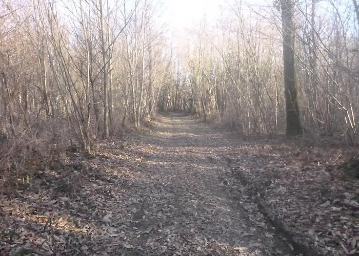 La Maison Des Fleurs